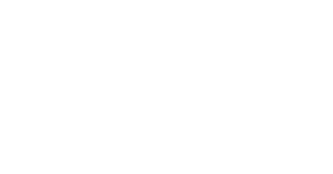 Solvique Compufix Systems